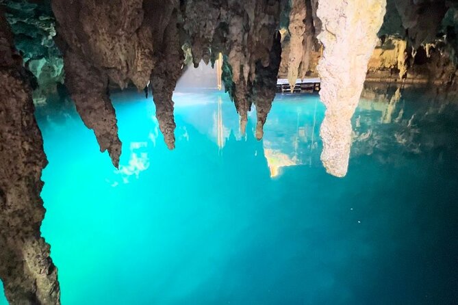 Tequila Tasting, Cenote, Horseback Riding, ATV, Ziplines & Lunch - Who will enjoy this tour most
