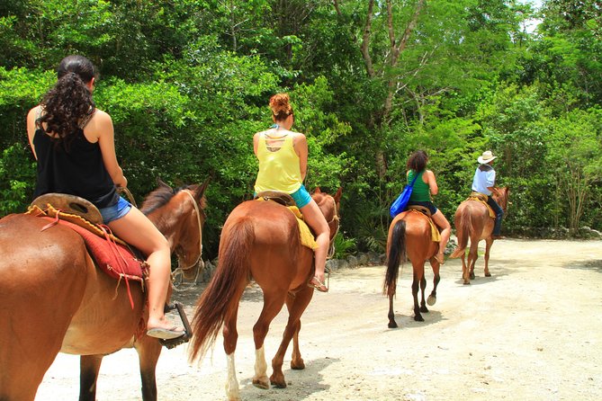 The best ATVs, zipline, cenote tour with lunch and transportation - Who should book this outing?