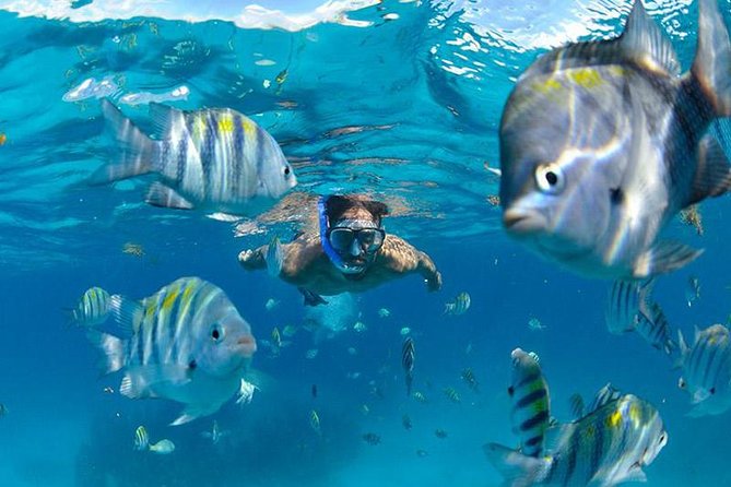The Best Catamaran Tour to Isla Mujeres from Cancún - Free time in Isla Mujeres