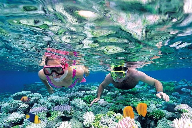 The Best Catamaran Tour to Isla Mujeres from Cancún - Booking, cancellation, and useful packing advice