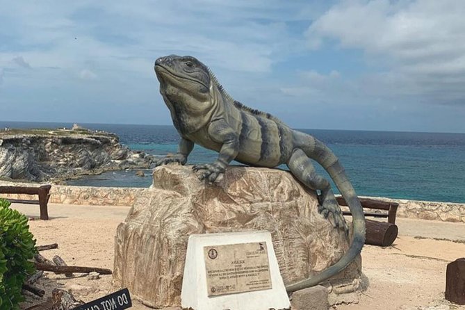 The Best of Isla Mujeres Private Walking Tour - Starting at the Estatua de la Mujer Desnuda