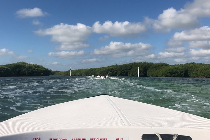 The Best Speedboat Tour In Cancun through Nichupte Lagoon, Snorkel included. - Taking the wheel in Nichupte Lagoon