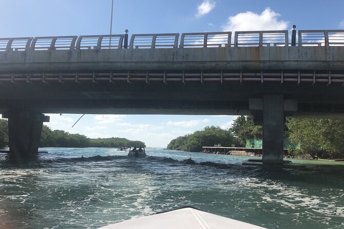 The Best Speedboat Tour In Cancun through Nichupte Lagoon, Snorkel included. - The strongest reasons to choose this boat tour