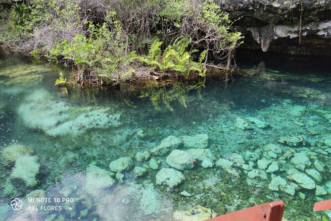 The great snorkeling adventure at the Riviera Maya private tour - The private vehicle and the early start