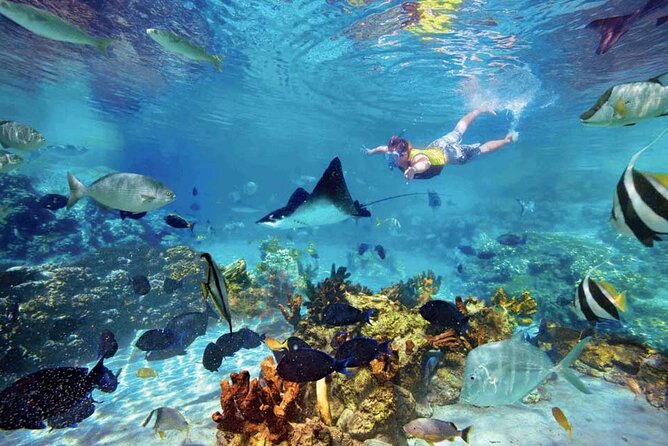 The great snorkeling adventure at the Riviera Maya private tour - What to bring and how to prepare