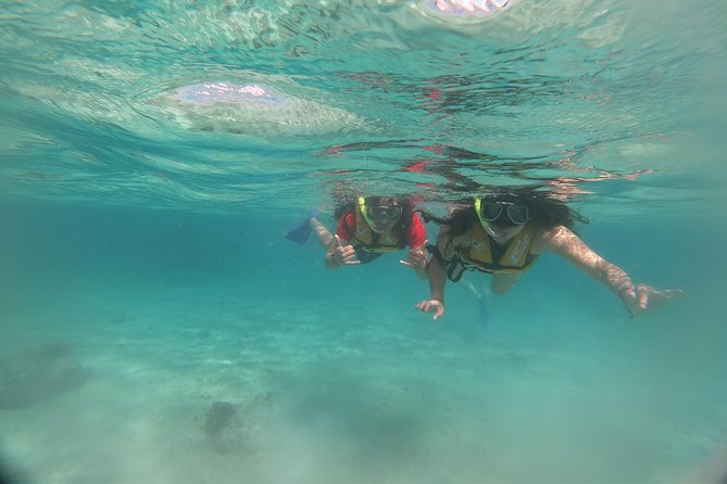 The most Intrepid Speedboat Adventure in Cancun Snorkel included - Who will enjoy this most?