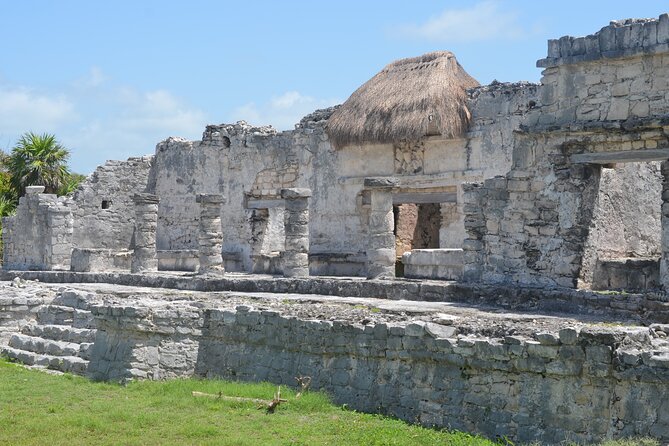 Tour 4 Cenotes House Turtle Tulum - Tulum: Mayan history above the Caribbean