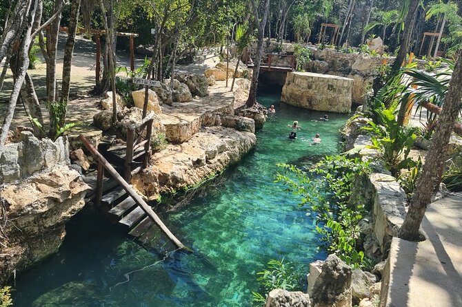 Tour 4 Cenotes House Turtle Tulum - Quinta Avenida in Playa del Carmen
