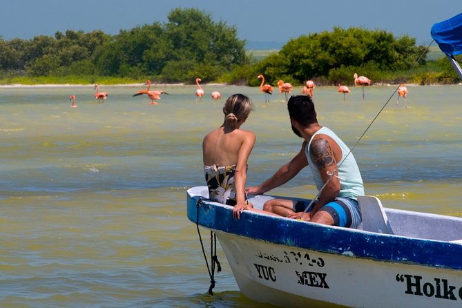 Tour to Las Coloradas Pink Waters and Boat Ride in Rio Lagartos with Lunch. - Cruising the canals of Ría Lagartos