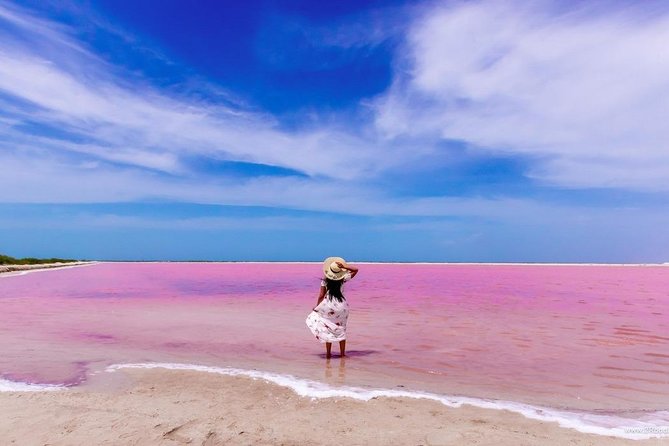 Tour to Las Coloradas Pink Waters and Boat Ride in Rio Lagartos with Lunch. - Is $125 a fair price?
