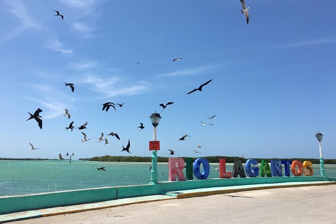 Tour to Las Coloradas Pink Waters and Boat Ride in Rio Lagartos with Lunch. - The guide and the organization matter