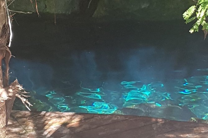 Tulaka Cenote Experience - Private transportation and a more flexible pace