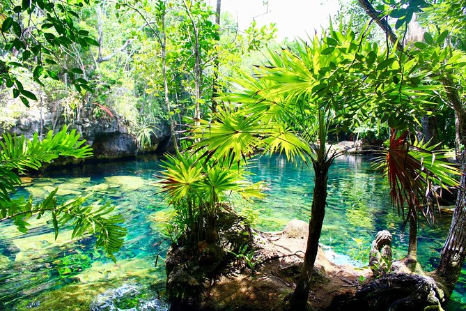 Tulaka Cenote Experience - Adding Playa del Carmen after the swim
