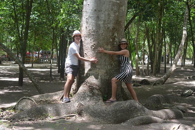 TULUM 4x1 : Archaeological Site, Cenote, 5th Avenue and lunch - Muul’Ichi Ts’ono’ot: the cooling stop