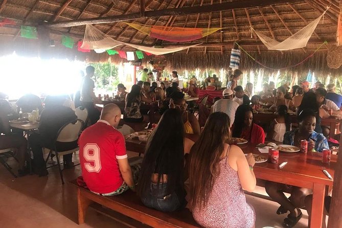 Tulum and Coba 4x1 with Cenote, Playa del Carmen, Mayan Village All Inclusive Tour - Playa del Carmen and the limits of 5th Avenue