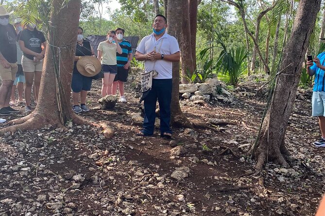 Tulum, Coba, Cenote Kuxtal and Playa Del Carmen! Deluxe 4x1 Tour - Quinta Avenida in Playa del Carmen