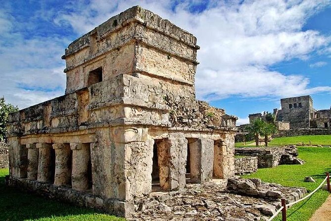 Tulum, Coba, Cenote & Playa Del Carmen! Full Mayan Experience - Coba’s wooded paths and independent exploring