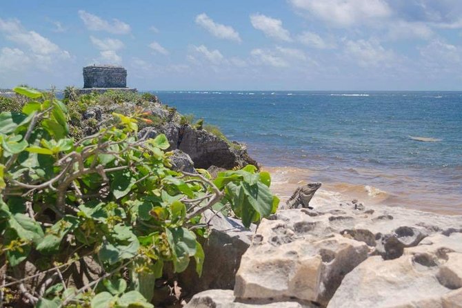 Tulum & Coba Private Tour - Practical details before you book