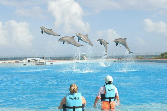 Tulum & Dolphin Connection from Cancun - The Coba question you should settle first