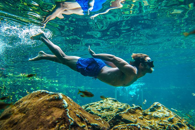 Tulum Ruinas and Tortugas Express - Early Pickup, Transfers, and Group Size