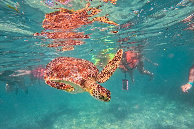 Tulum Ruins, Sea Turtles & Cenote Swim Adventure Tour - Key points at a glance