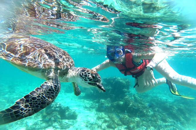 Tulum Ruins, Snorkeling with Turtles and Underground Caves - Tulum on the Caribbean cliff