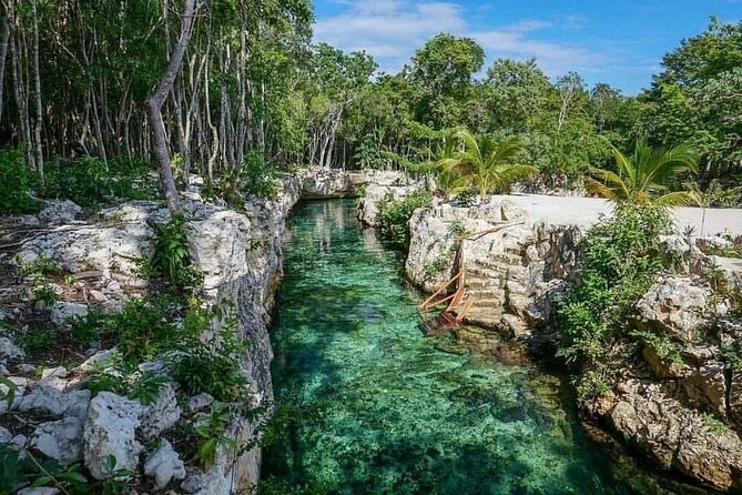 Tulum Ruins visit cenotes house turtle and Sculpture Come to Light - A regional lunch after the ruins