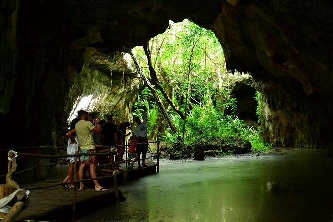 Turtles and Cenote from Riviera Maya - What the $110 price really covers