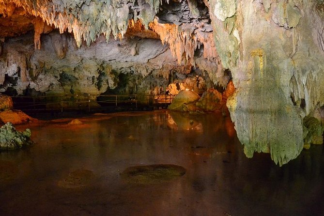 Turtles and Cenote from Riviera Maya - Who will enjoy this tour most