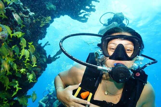 Two Dives and Class for Begginers Divers in Cancun - Key points to know before booking