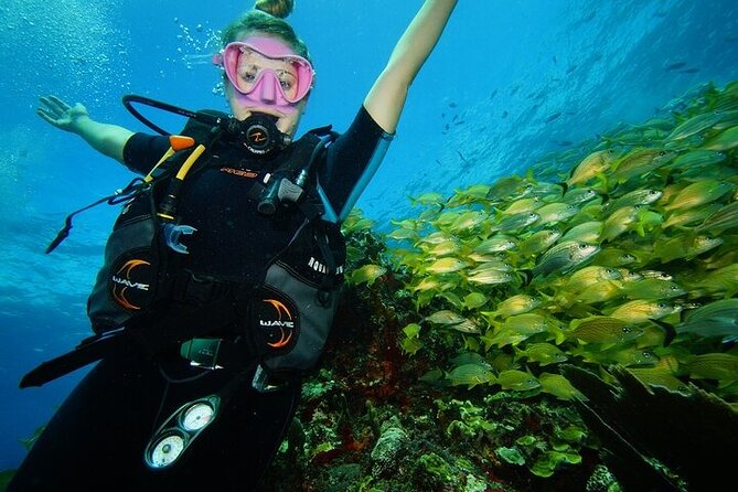 Two Dives and Class for Begginers Divers in Cancun - MUSA: art beneath the surface