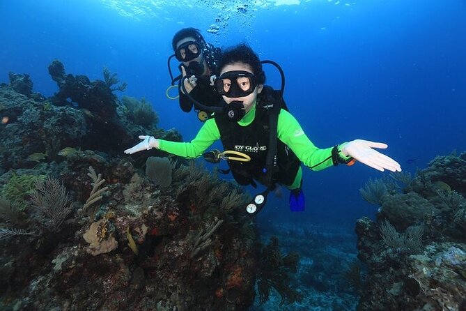 Two Dives and Class for Begginers Divers in Cancun - Health rules and flight planning