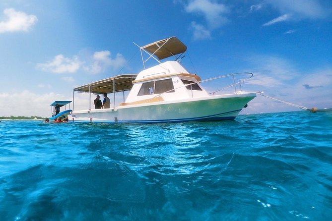 Ultimate 5x1 Combo with ATV, Ziplines, Cenote & Reef Snorkeling - One full day, four kinds of adventure
