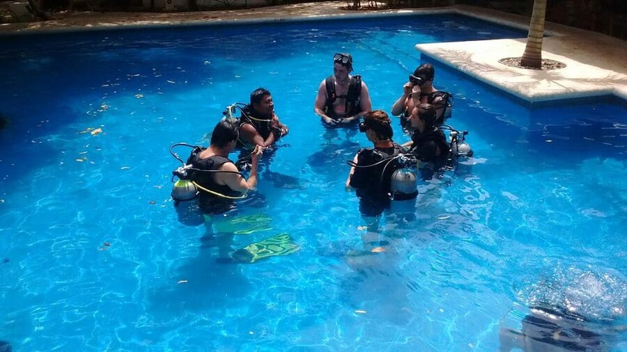 Underwater Museum Musa : SCUBA DIVING FOR BEGINNERS - Why MUSA makes a good first underwater site