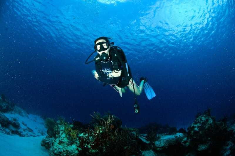 Underwater Museum Musa : SCUBA DIVING FOR BEGINNERS - What the reef portion adds
