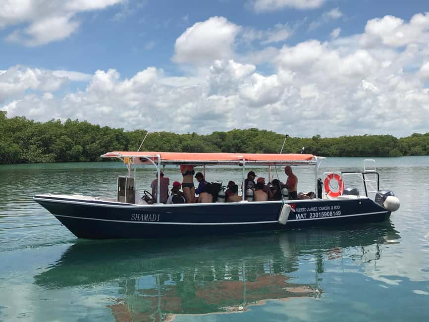 Underwater Museum Musa : SCUBA DIVING FOR BEGINNERS - The important risk of a shortened outing