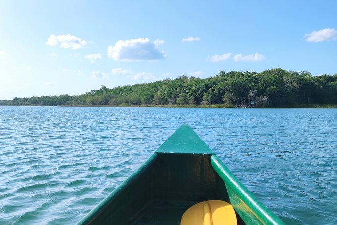 Unforgettable Journey: Coba, Monkey Reserve, and Mayan Cenote - Meeting spider monkeys at Punta Laguna