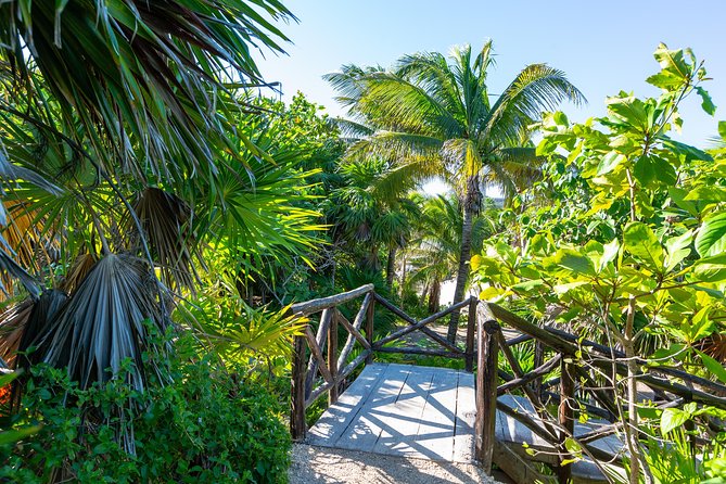 Viator Exclusive: Tulum Ruins, Reef Snorkeling, Cenote and Caves - The cenote and cave experience