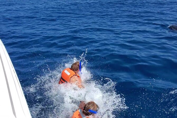 Whale Shark Adventure in Isla Mujeres and Cancun - The guides make the difference