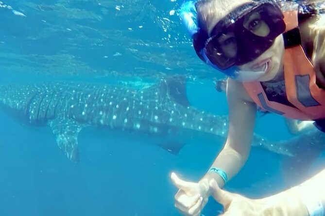 Whale Shark Adventure in Isla Mujeres and Cancun - Lunch, ceviche, and the return route