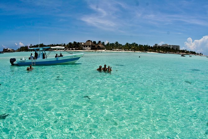 Whale Shark Tour from Cancun, Playa del Carmen, Tulum and Riviera Maya - Reef snorkeling near Isla Contoy and Isla Mujeres