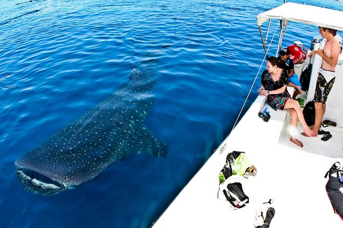 Whale Shark Tour from Cancun, Playa del Carmen, Tulum and Riviera Maya - Ceviche and warm water at Playa Norte