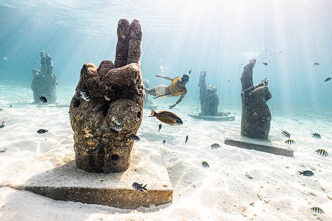 With Turtles, Shipwreck, Cenote, and Reef and Transport Included - Cenote water and turtle habitat