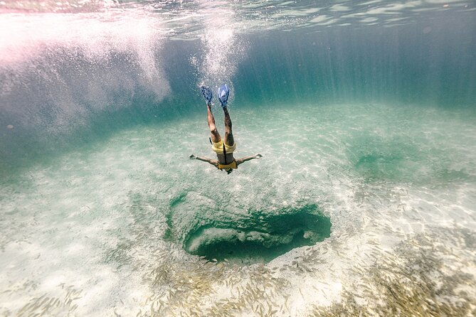 With Turtles, Shipwreck, Cenote, and Reef and Transport Included - How the small boat changes the experience