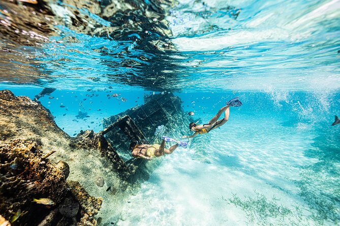 With Turtles, Shipwreck, Cenote, and Reef and Transport Included - Hotel pickup and the real time commitment