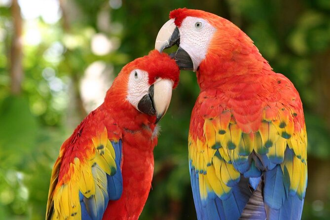 Xcaret Aquatic Theme Park Private 12 hrs Trip from Cancun by van - Key points at a glance