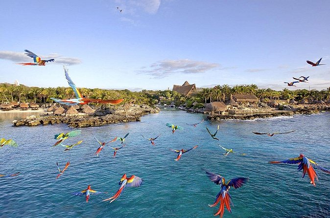 Xcaret Park Day Tour & Night Show with Transportation - The Espectacular Night Show is the day’s finale