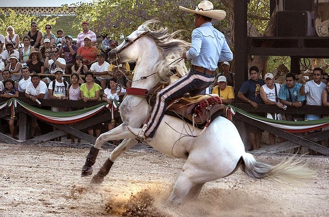 Xcaret Park Day Tour & Night Show with Transportation - Group size, booking, and cancellation