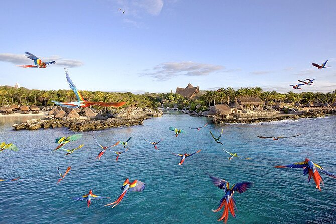 Xcaret Park Day Tour & Night Show with Transportation - Mayan ruins, jungle paths, and wildlife