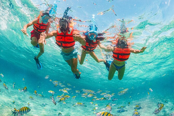 Xcaret Park Day Trip, transportation and Cultural Night Show - Maya sites and Mexican culture along the way
